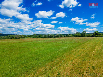Prodej louky, 4976 m², Nové Mitrovice - 7