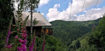 Pronájem chaty - 7