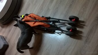 novy kocarek pro psa nebo kocku - 7