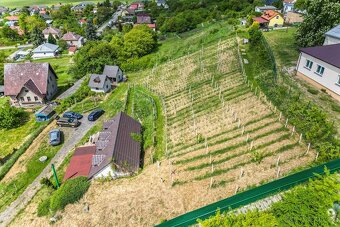 Prodej vinařství Konárovice - 7