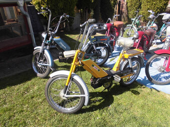 MOTO - 7