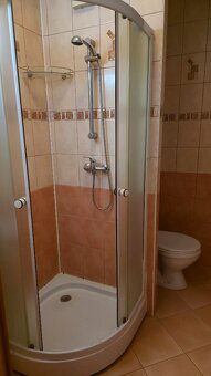 Pronájem bytu 1+kk 38 m², Frýdek-Místek - 7