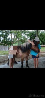 Úžasní poníčci - 7