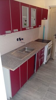 Pronajmu 3+1 v Aši s vlastní zahrádkou - 7