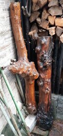 Dřevěná kasička - na bydlení + lakované samorosty + bunda - 7