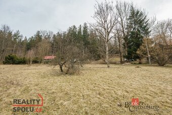 Prodej, pozemky/louka, 3901 m2, Dolní Rokytnice , Rokytnice - 7