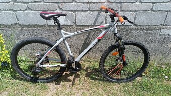 Horské juniorské kolo DINOTTI X3017 - 7