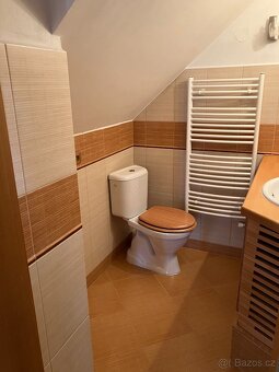 Pronájem bytu v centrum Českých Budějovic - 7