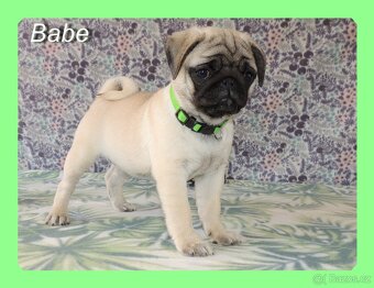 MOPS s PP. - 7
