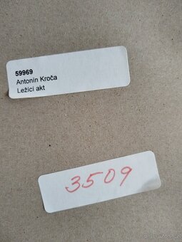 obraz LEŽÍCÍ DÁMA, akt, pastel, Antonín Kroča 2008 - 7