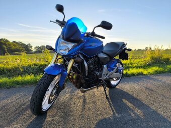 Honda CB 600F Hornet - 7