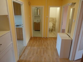 Pronájem 3+1, ulice Merhautova, Černá Pole, 80 m2, balkon, k - 7