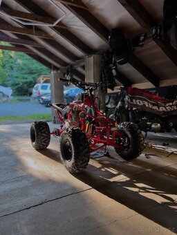 Bashan 250ccm - 7
