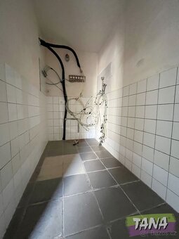 Prodej nebytových prostor a bytu v Chlumci nad Cidlinou - 7