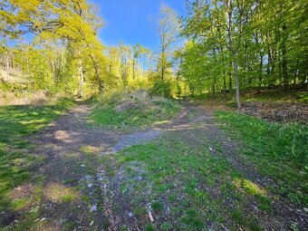 Prodej zahrady 3670m2 nedaleko Litoměřic - 7