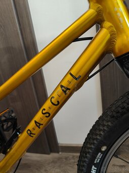Rascal 20 - 7