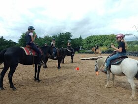 Koňský tábor , tábor s konmi, koně, jezdecký pobyt - 7