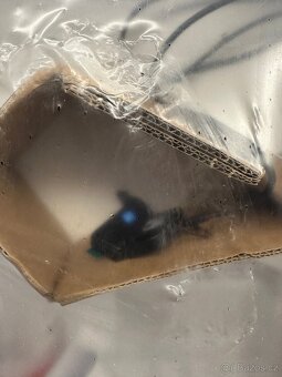 ELEKTRICKY STAVITELNÝ STUL STEELCASE MIGRATION, NOVÝ - 7