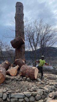 Rizikové kácení a péče o stromy - 7