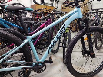 Amulet night cat 4.0. - 7