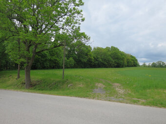 Orná půda - pozemek 2539m2 Božejovice - 7