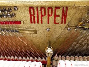 Rippen mod 109-Dovoz po ČR zdarma 24/7 - 7
