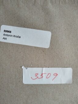 obraz DÁMA, akt, pastel, Antonín Kroča 2008 - 7