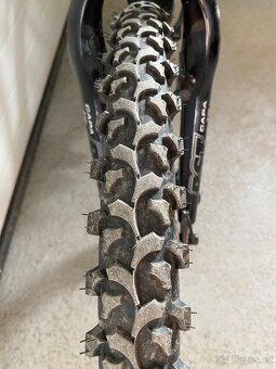 Kellys Spider - 7