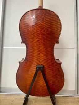 Violončelo - 7