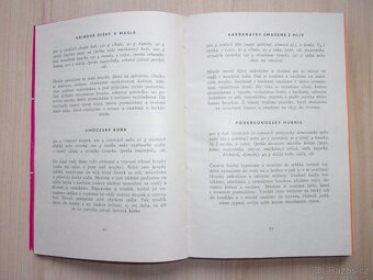 2x STARÁ KUCHAŘKA - KUCHAŘSKÝ LEXIKON, STAROČESKÁ KUCHYNĚ - 7