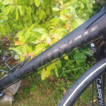 Specialized Sirrus, karbonová vidlice, velikost L - 7