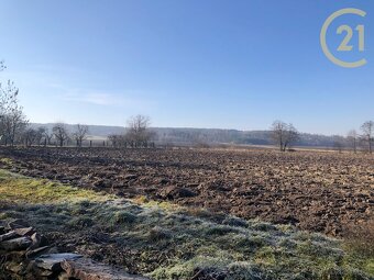 Stavební pozemek v Kozašicích, 806 m2 – klidné bydlení s ... - 7