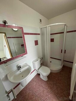 Pronájem bytu 1+kk, 30 m² – Brno, Husovice, ul. Dačického - 7