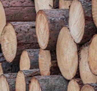 Palivové dřevo měkké - 7