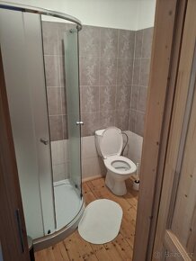 Ubytovani , apartmán, pronajem, chalupa Klínovec - 7