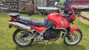 Triumph Tiger 955i - 7