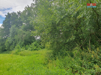 Prodej pozemku k bydlení, 1957 m², Bystřice - 7