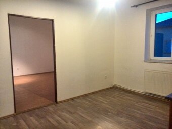Pronajmu byt 1+1 50m2 v Ostravě se zahradou - 7