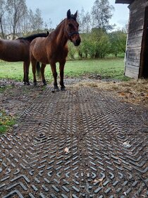 Stájové rohože, do boxů pro koně - sleva 7% - 7