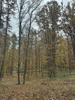 Prodám pozemky v k.ú. Snopoušovy - 7