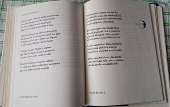 Kniha Záludná luna - P. Verlaine - 7