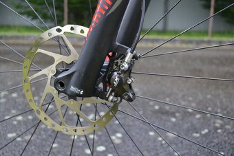Focus O1E Pro Carbon (M) - 7
