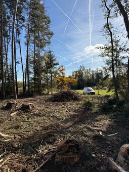 Prodej lesního pozemku v k.ú.Domašín okr.Vlašim - 7