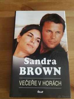 Sandra Brown - 7