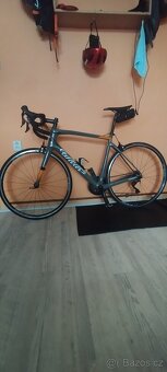 Willier GTR Triestina - 7