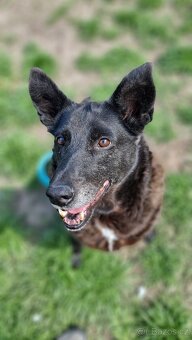 CONNIE K ADOPCI - nejvěrnější parťačka, mazel na N-tou - 7
