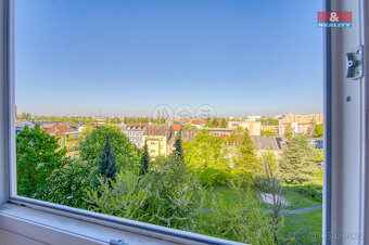 Prodej bytu 2+1, 58 m², Plzeň, ul. Sousedská - 7