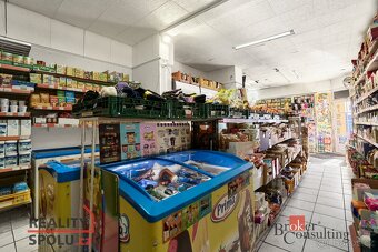 Prodej, domy/rodinný, 290 m2, Jáchymovská 151, 36235 Abertam - 7