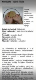 Houba Kombucha, násada - 7