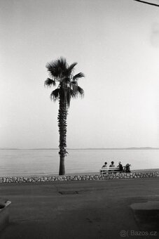 Asahi Pentax SP1000 M42 - 7